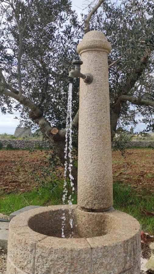 Palacca, Trullo Salentino أندرانو المظهر الخارجي الصورة