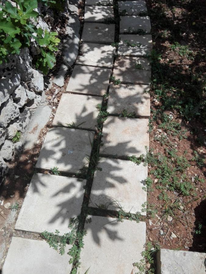 Palacca, Trullo Salentino أندرانو المظهر الخارجي الصورة