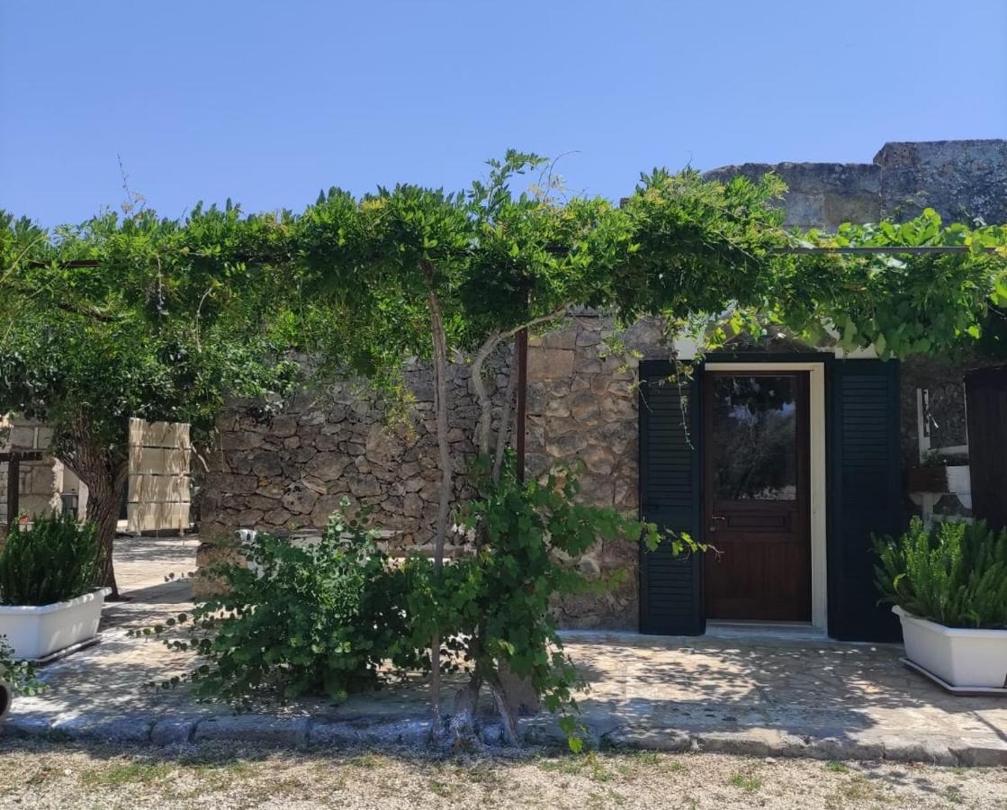 Palacca, Trullo Salentino أندرانو المظهر الخارجي الصورة