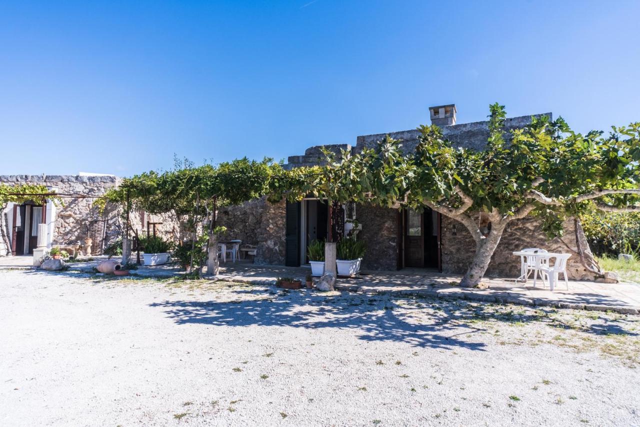 Palacca, Trullo Salentino أندرانو المظهر الخارجي الصورة