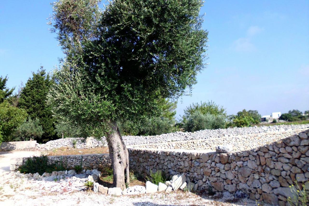 Palacca, Trullo Salentino أندرانو المظهر الخارجي الصورة