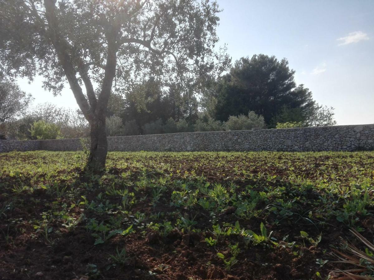 Palacca, Trullo Salentino أندرانو المظهر الخارجي الصورة